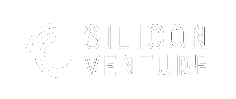 Silicon Venture